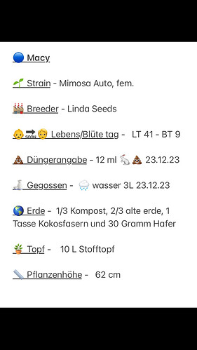 Growreport Bild 2