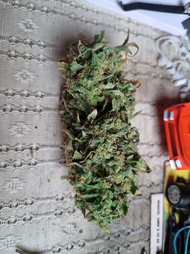 Growreport Bild 21