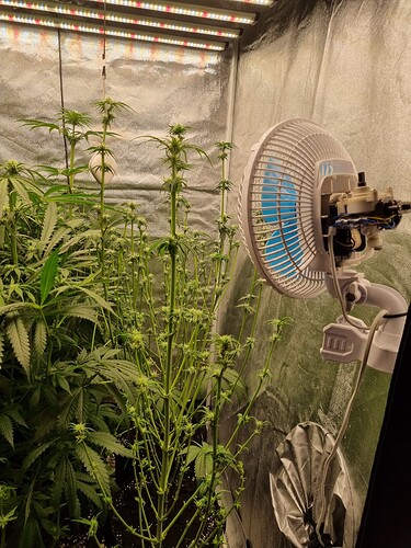 Growreport Bild 8