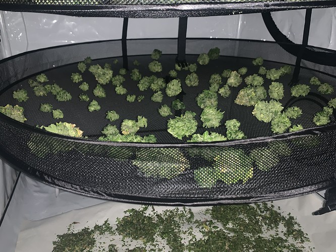 Growreport Bild 8