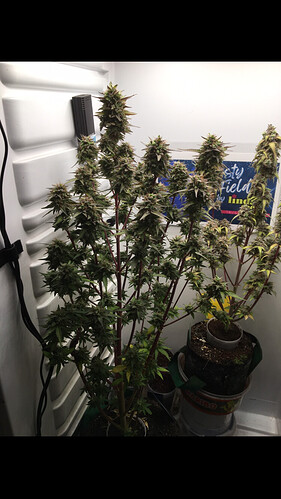 Growreport Bild 12