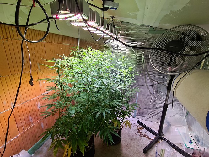 Growreport Bild 11