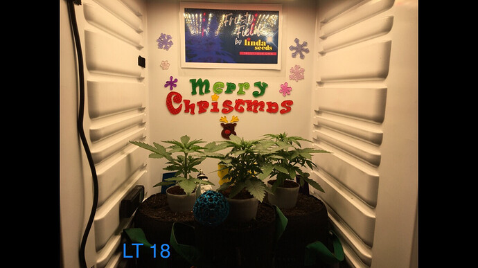 Growreport Bild 4