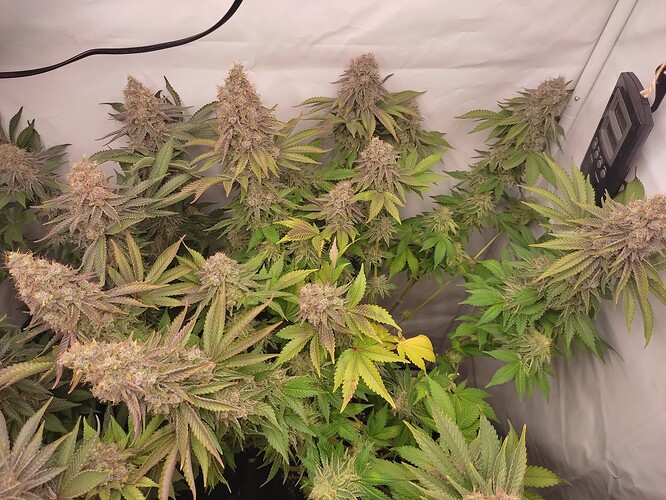 Growreport Bild 16