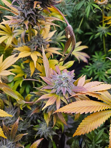 Growreport Bild 8