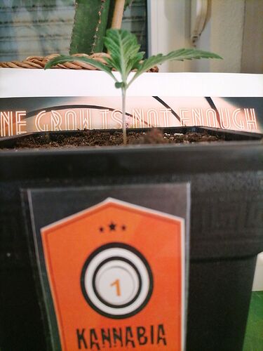 Growreport Bild 51