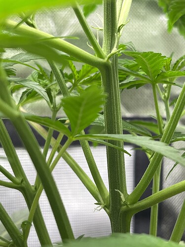 Growreport Bild 26