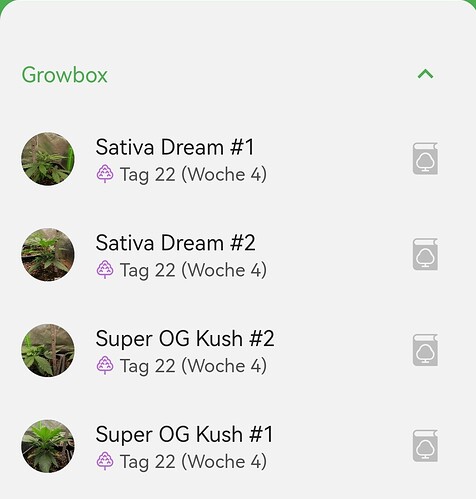 Growreport Bild 8