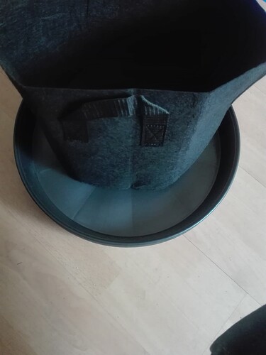 Growreport Bild 8