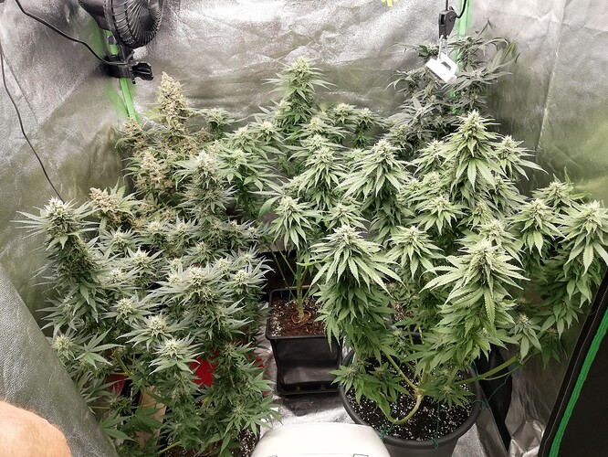 Growreport Bild 2