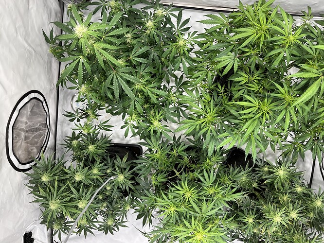 Growreport Bild 18