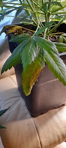Growreport Bild 19