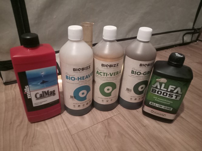 Growreport Bild 14