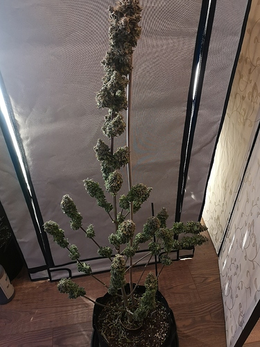 Growreport Bild 10