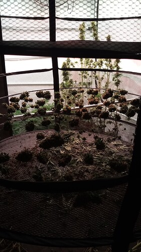 Growreport Bild 43