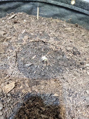 Growreport Bild 11