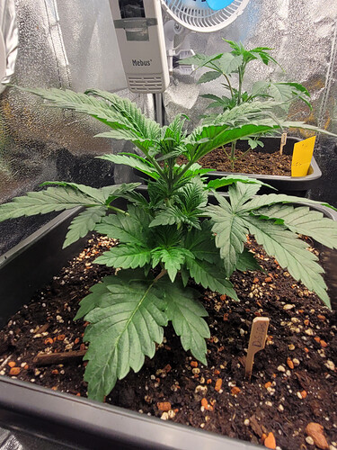 Growreport Bild 9