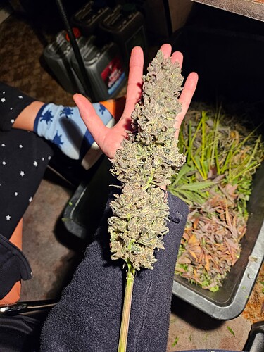 Growreport Bild 4