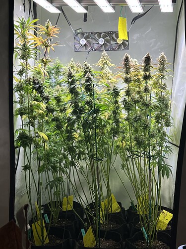 Growreport Bild 17