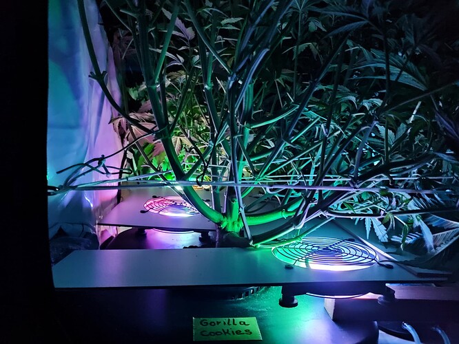Growreport Bild 8
