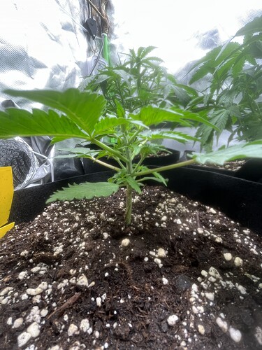 Growreport Bild 16