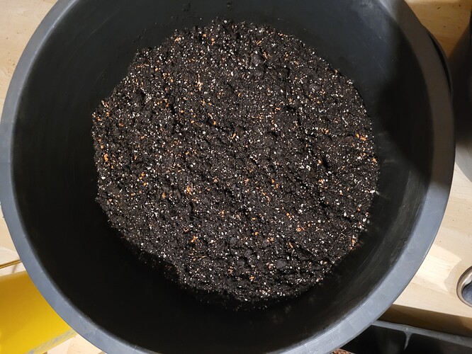 Growreport Bild 8