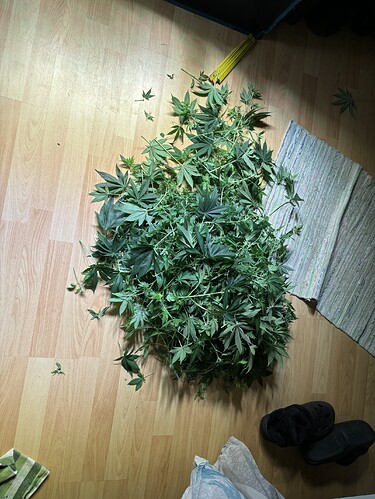 Growreport Bild 30