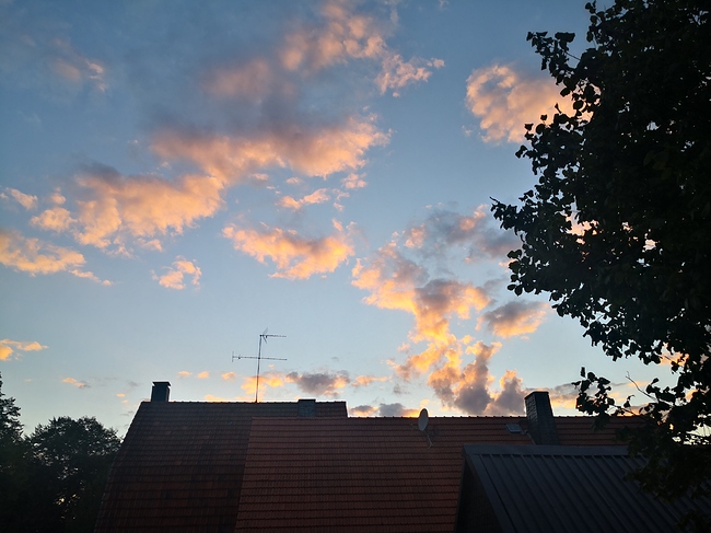 Growreport Bild 14