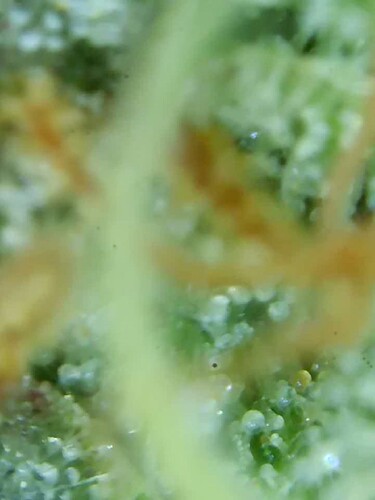 Growreport Bild 18