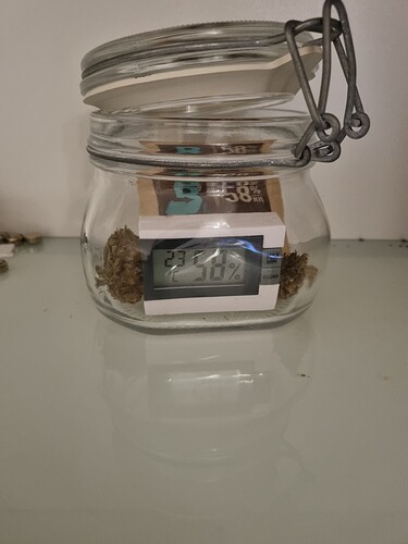 Growreport Bild 1