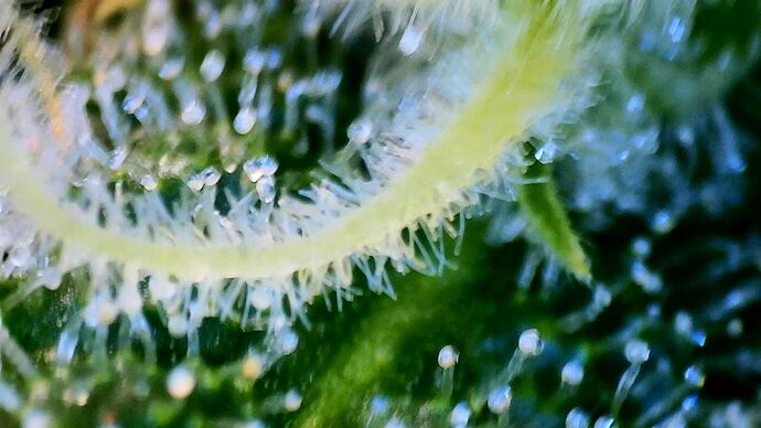 Growreport Bild 7