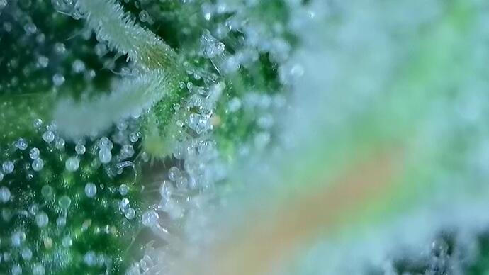 signal-2022-10-25-191504_015