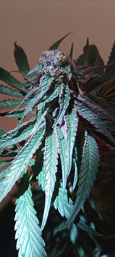 20220109_150010_HDR