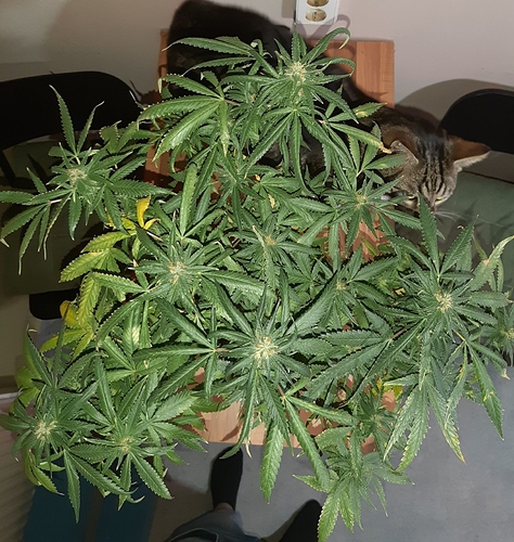 Growreport Bild 9