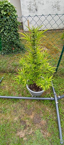 P_20230802_162830