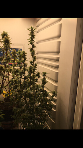Growreport Bild 16