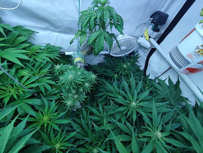 Growreport Bild 24