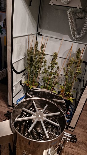 Growreport Bild 12