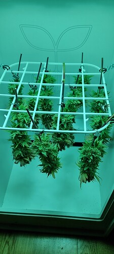 Growreport Bild 13