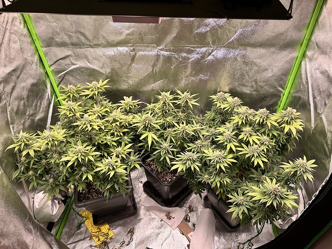 Growreport Bild 9