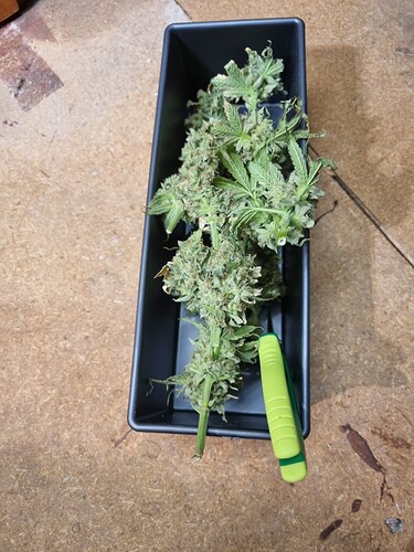 Growreport Bild 24