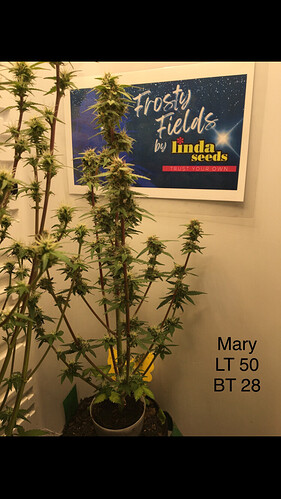 Growreport Bild 18