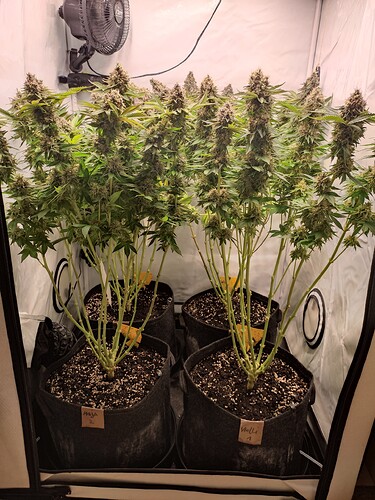 Growreport Bild 6