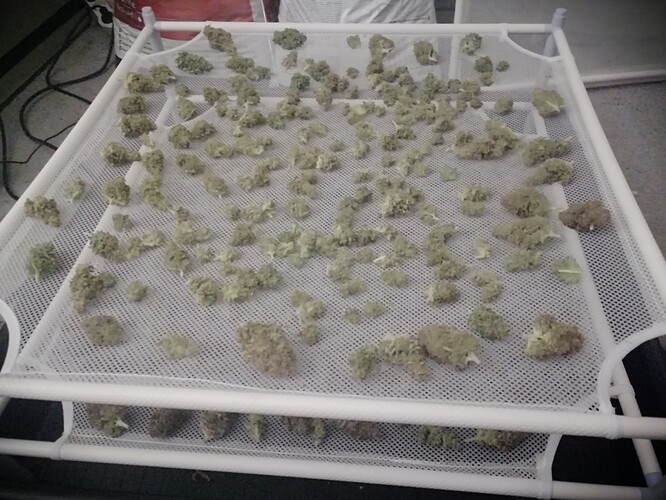Growreport Bild 2