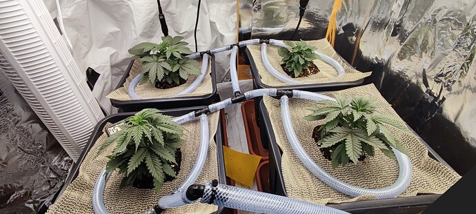 Growreport Bild 8