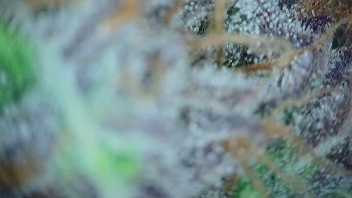 2022-06-25-031853001