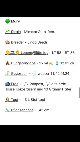 Growreport Bild 13