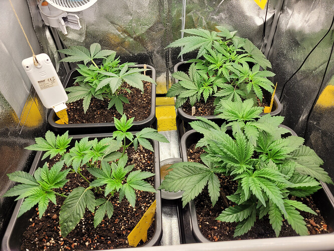 Growreport Bild 18