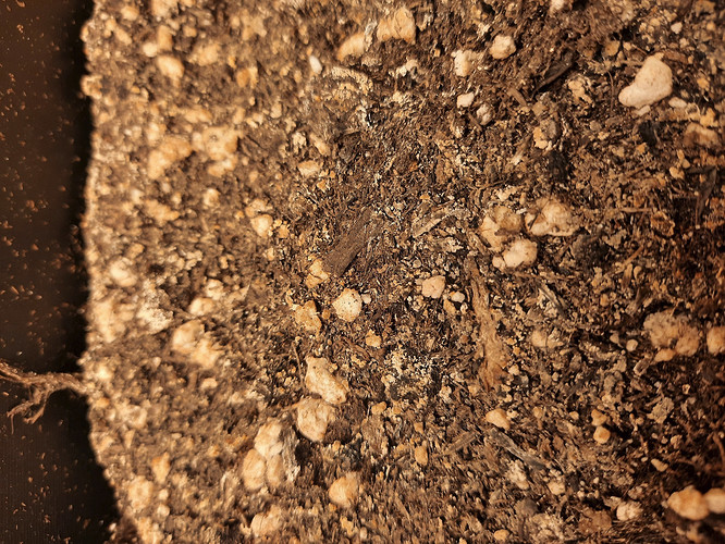 Growreport Bild 7