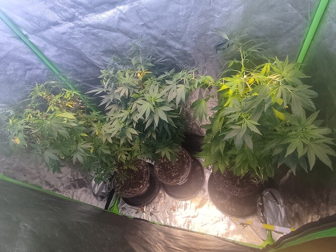 Growreport Bild 11